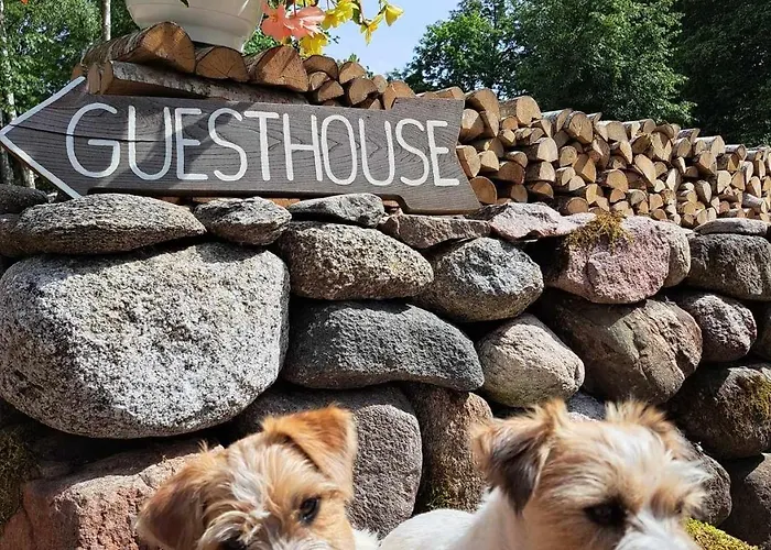 Mugavustega Majake Kahele Muhumaal Paenase